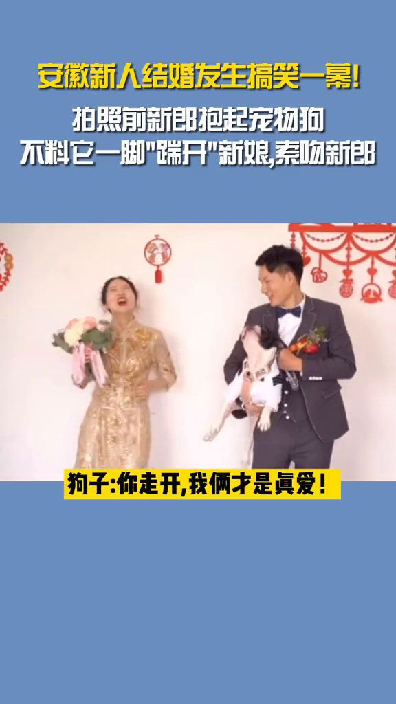 两位新人拍照时宠物狗踹开新娘并索吻新郎!