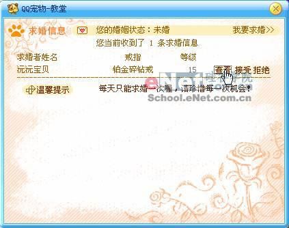 男大当婚女大当嫁：宠物蜜月结婚全体验(4)