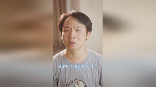 罗威纳出事了，狗被没收