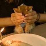 抱抱恶魔液