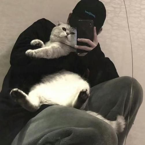 抱着猫的男生头像