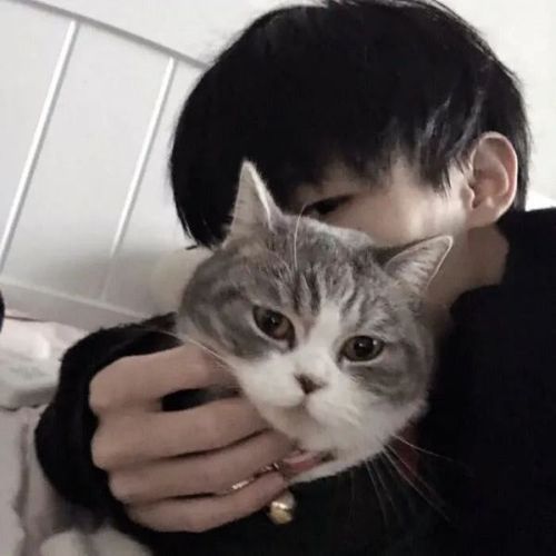 抱着猫的男生头像