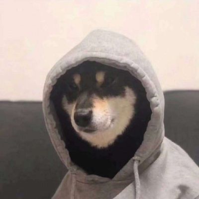 宠物_男生头像_我要个性网