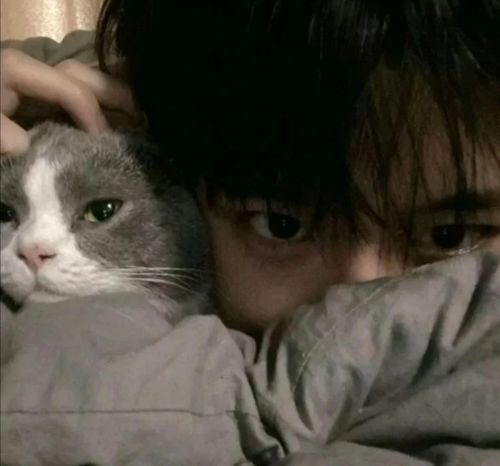 抱猫的头像男 男生头像图片大全 -【爱个性】