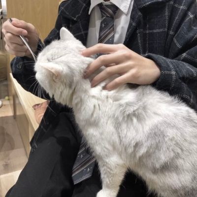 qq男生头像抱着小动物高清帅气男生抱小动物头像图片