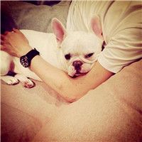 男生抱狗头像男生抱狗头像高清图片