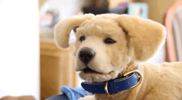 Tombot Puppy