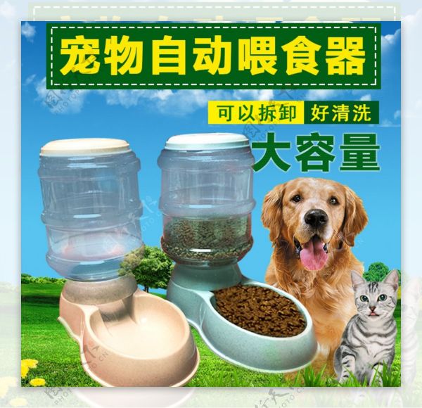狗猫宠物喂食器淘宝主图图片