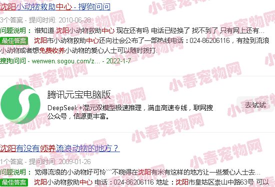 沈阳宠物狗免费领养中心