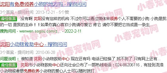 沈阳宠物免费领养中心