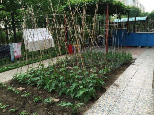 皇姑区爱心护理院（居家型）五彩