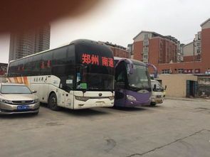 怎么去汽车站托运宠物狗呢