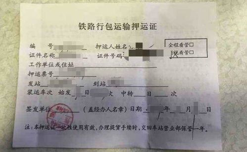 宠物押运：如何安全快捷地带宠物出行？国内宠物押运公司排行榜