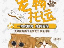 南阳邓州本地靠谱猫狗活体运输服务 上门接送 空调宠物专车