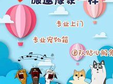 南阳本地靠谱猫狗活体运输服务 上门接送 空调宠物专车