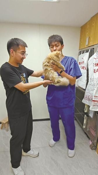 芭比堂宠物医院。