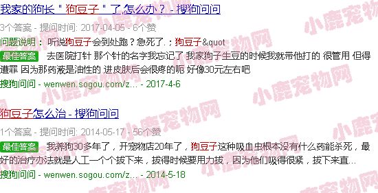 狗痘子