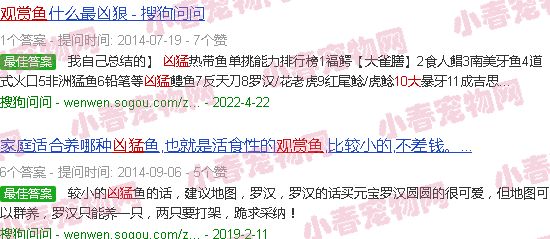 十大小型凶猛观赏鱼