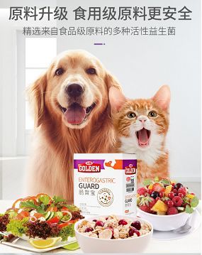 宠物肚胀便秘,及时就医保健康