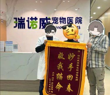 感谢医生