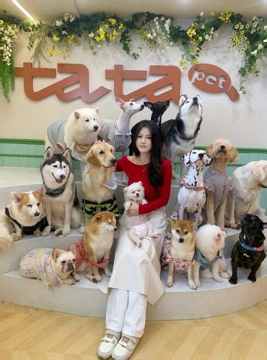 毛孩子抢镜担当