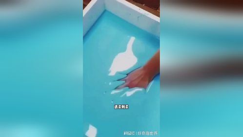 至刚至柔的非牛顿流体