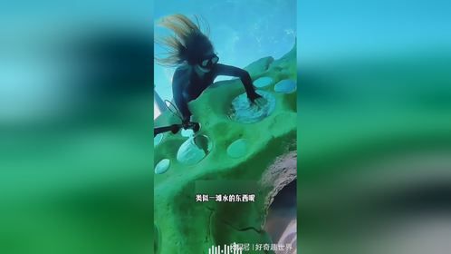 海里为啥还有水坑？
