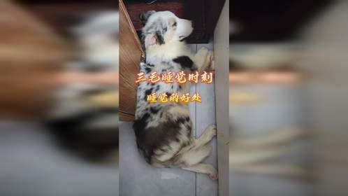 睡觉有哪些好处