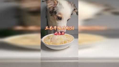 三毛干饭时刻30