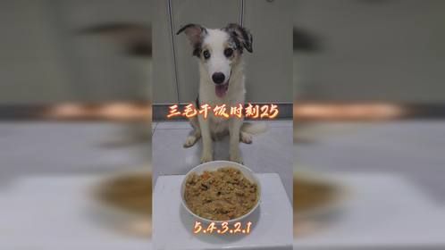 三毛干饭时刻25.mp4