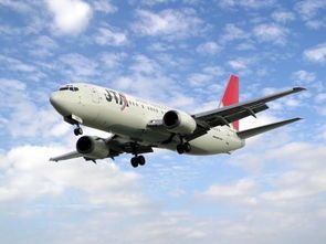 顺丰空运宠物价，一公斤多少？宠物寄递指南。
