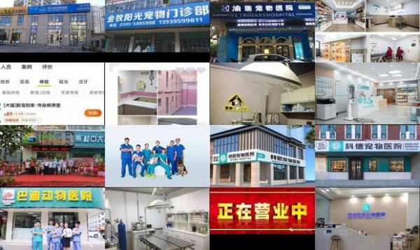 柳州宠物医院24小时营业