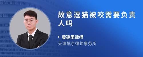 故意逗猫被咬需要负责人吗