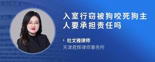 入室行窃被狗咬死狗主人要承担责任吗