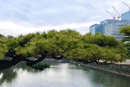 100个宠物公司取名大全