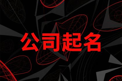 宠物公司起名大全(推荐320个)
