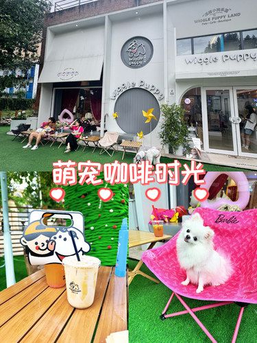 和毛小孩的快乐时光