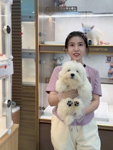 毛孩子太萌啦！在翊宠喜提我的西高地宝宝～