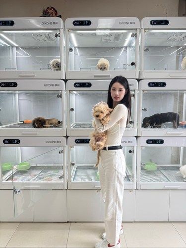 上海好全的宠物选购基地来啦！！！