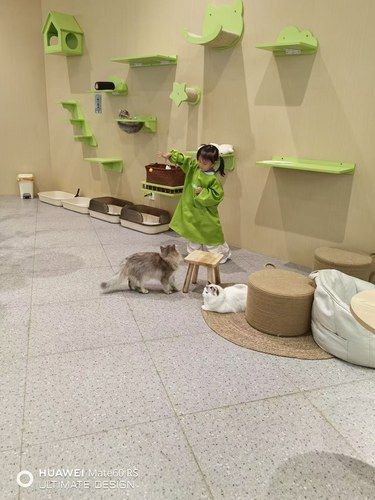 私藏！海港湾遛娃新据点，娃和猫猫疯玩一下午