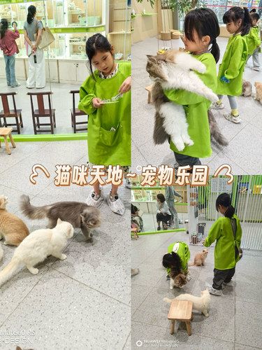 挖到宝！海港湾藏着超治愈的亲子猫咖店