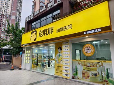 宠胖胖动物医院（绵阳店）：毛孩子的专属守护天使