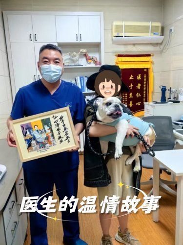 宠物家长亲自为医生绘制的水彩画