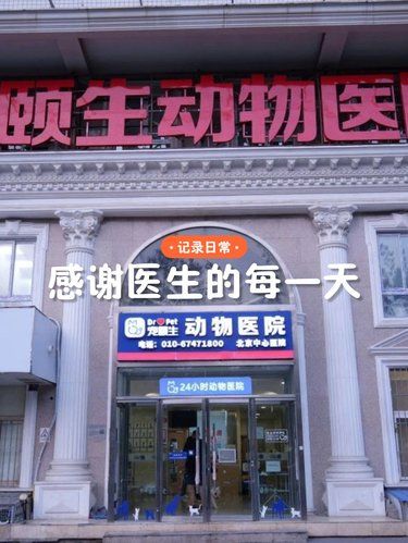 阳光温暖的齐大夫