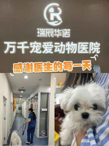 超靠谱的宠物医院！医生相当负责~服务很耐心！