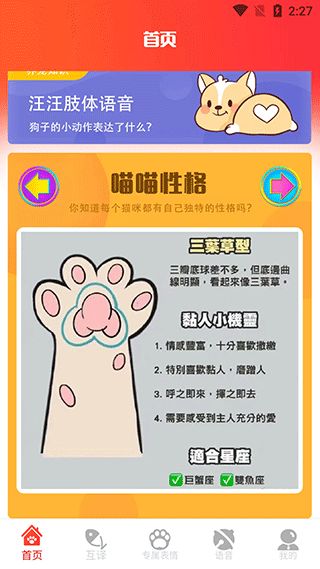 宠物交流器
