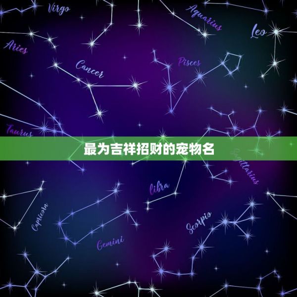 最为吉祥招财的宠物名，2023招财又吉利的狗名字 第1张