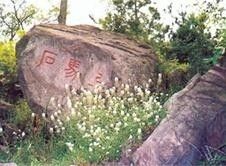 庞涓上马石