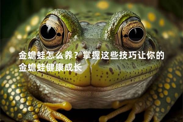 金蟾蛙怎么养？掌握这些技巧让你的金蟾蛙健康成长