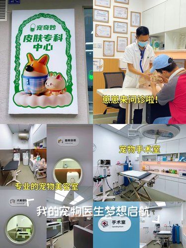 宠奇妙宠物医院 心脏 猫专科